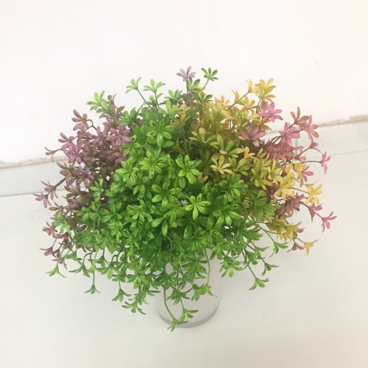 5 Head French Jasmine Flower Simulation Small Flower Fake Flower Placement Flowers details Picture