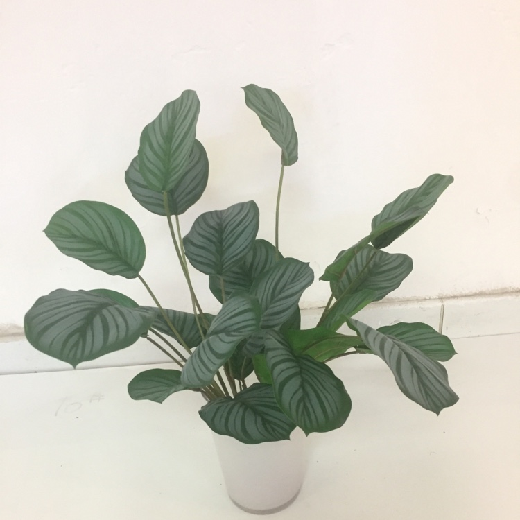 Artificial Green Plants False Flowers False Trees Rural Flowers Grass Home Decoration