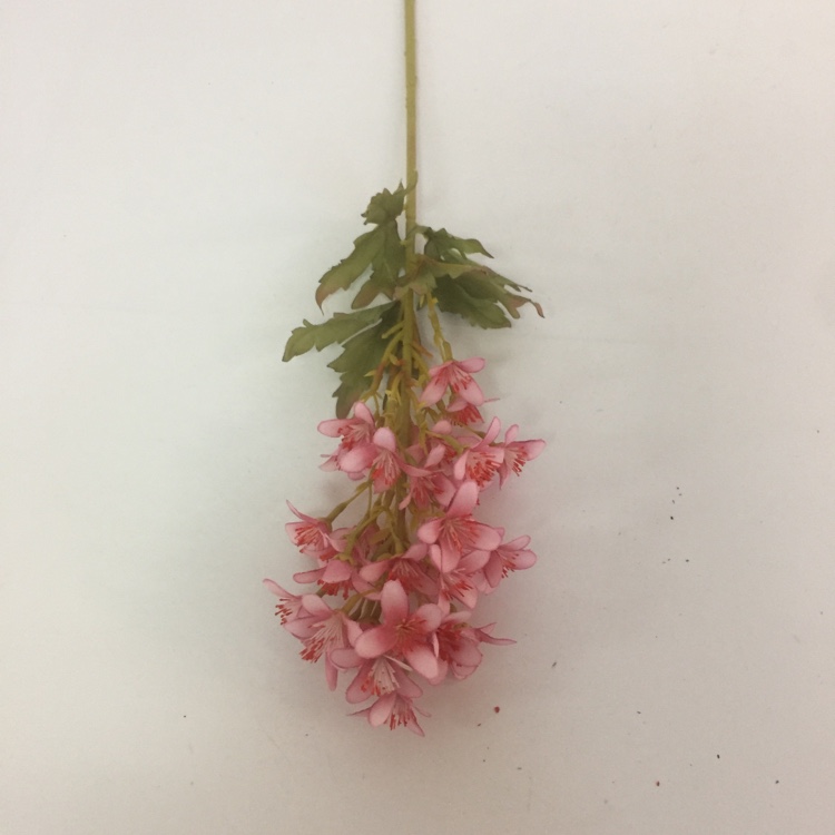 Single Autumn Red Star Flower Simulation False Flower Silk Flower Korean Garden Small Fresh Flower undefined
