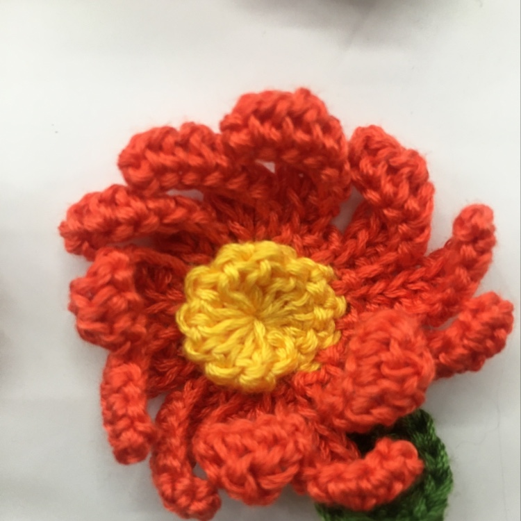 Woolen chrysanthemum