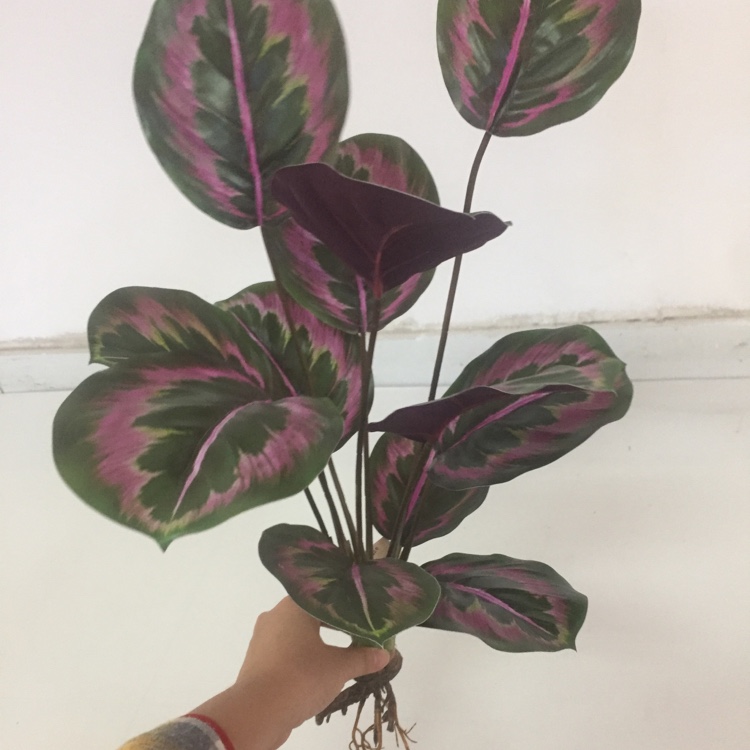 Simulation Green Plant Tropical Plant Simulation Flower New Green Plant Decoration undefined
