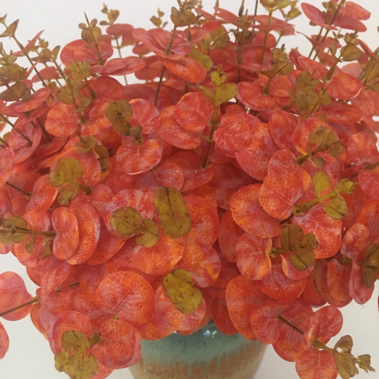 A Bunch Of Autumn Color Money Grass To Simulate The Green Plant Eucalyptus Leaf Engineering Flowers details Picture