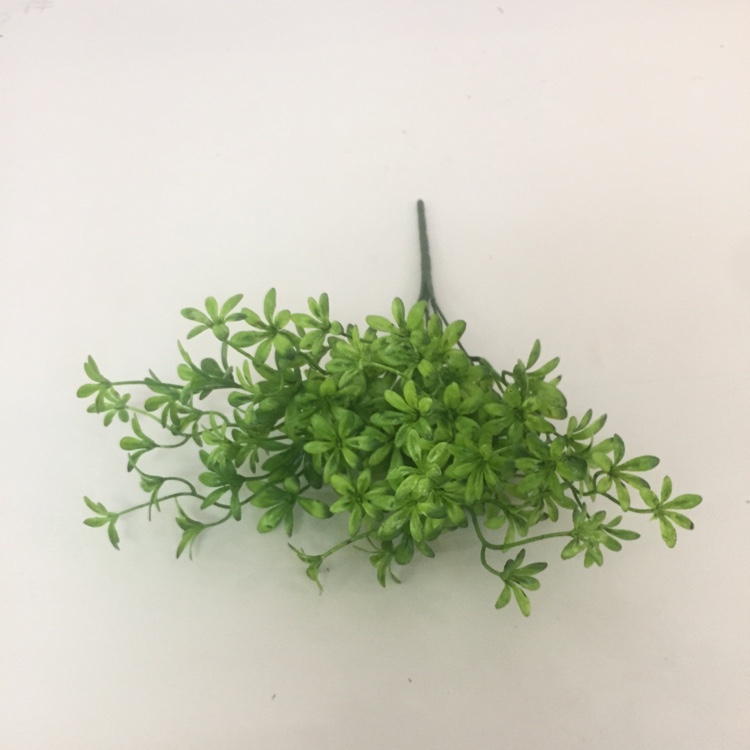 5 Head French Jasmine Flower Simulation Small Flower Fake Flower Placement Flowers Specification drawing