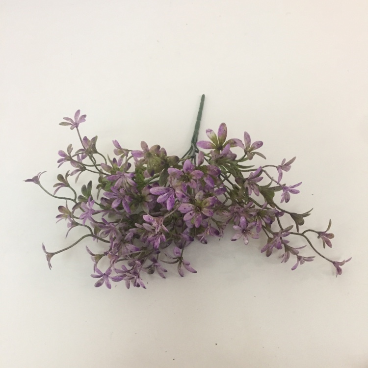 5 Head French Jasmine Flower Simulation Small Flower Fake Flower Placement Flowers Item Picture