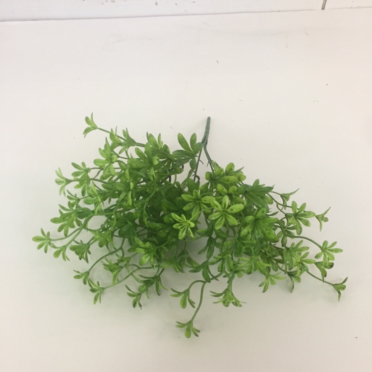 5 Head French Jasmine Flower Simulation Small Flower Fake Flower Placement Flowers Application Scenario