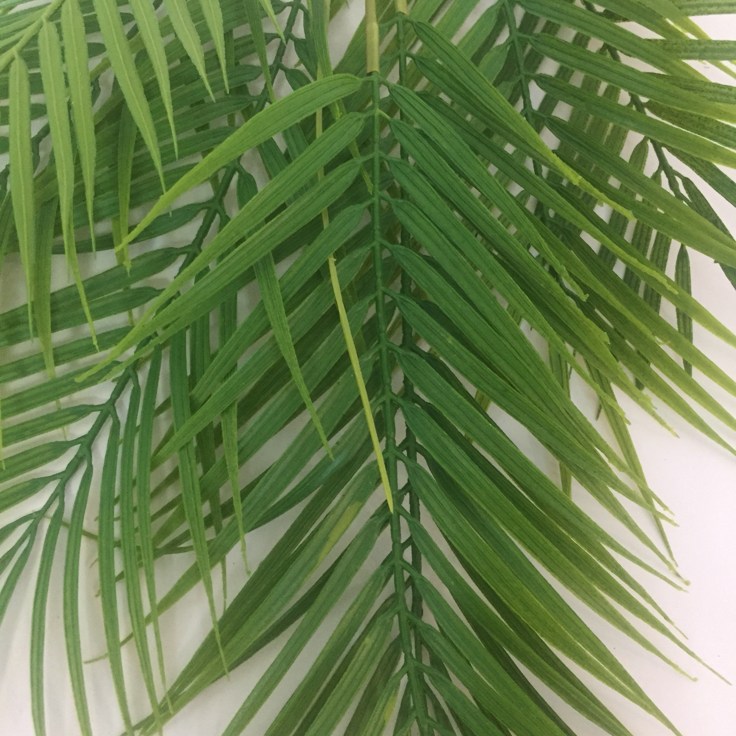 7 Leaf Wind Tail Bamboo Simulation Green Plant Simulation Green Leaf Engineering Flowers And Plants undefined