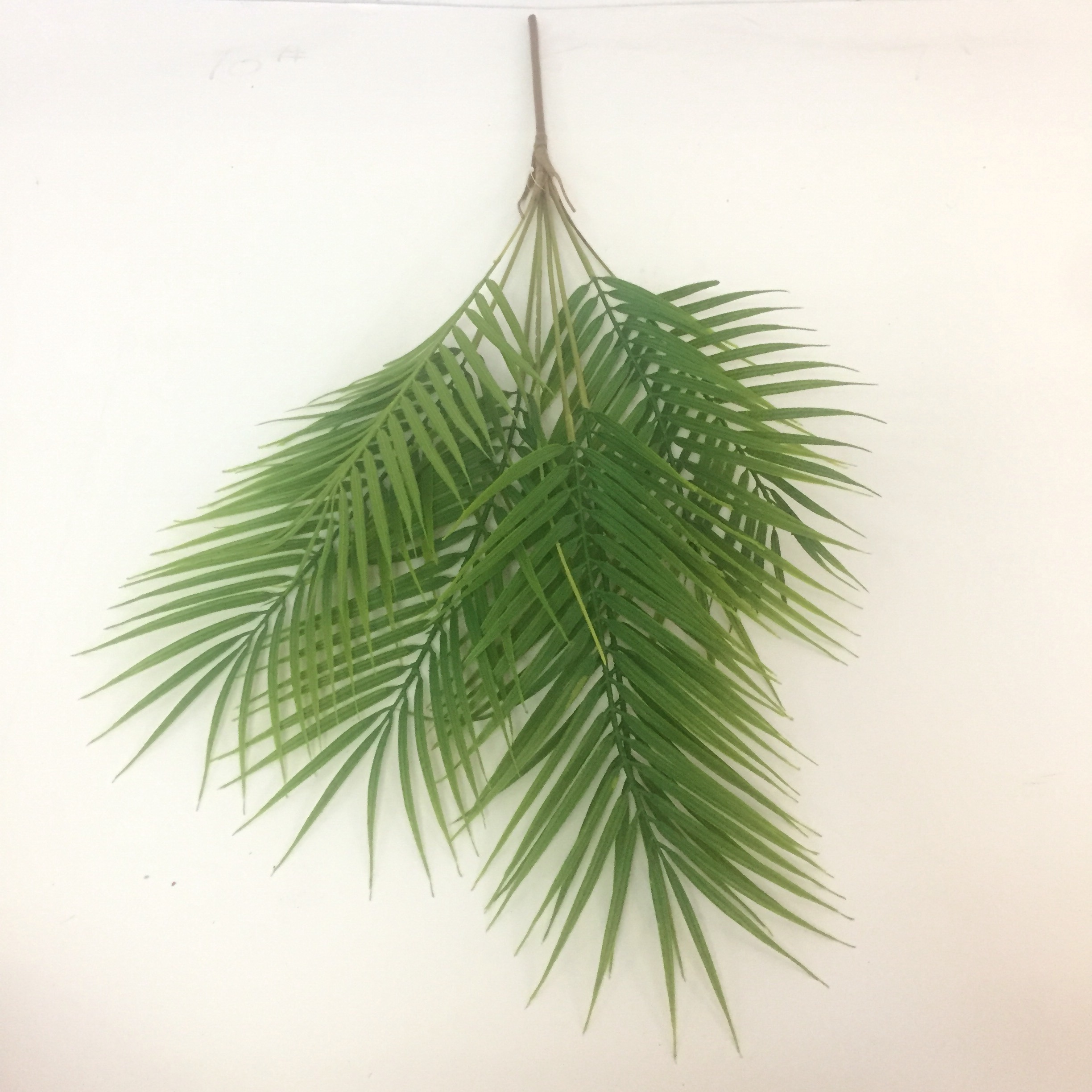 7 Leaf Wind Tail Bamboo Simulation Green Plant Simulation Green Leaf Engineering Flowers And Plants Item Picture