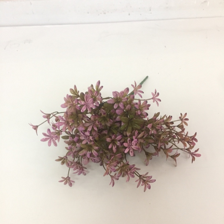 5 Head French Jasmine Flower Simulation Small Flower Fake Flower Placement Flowers Item Picture