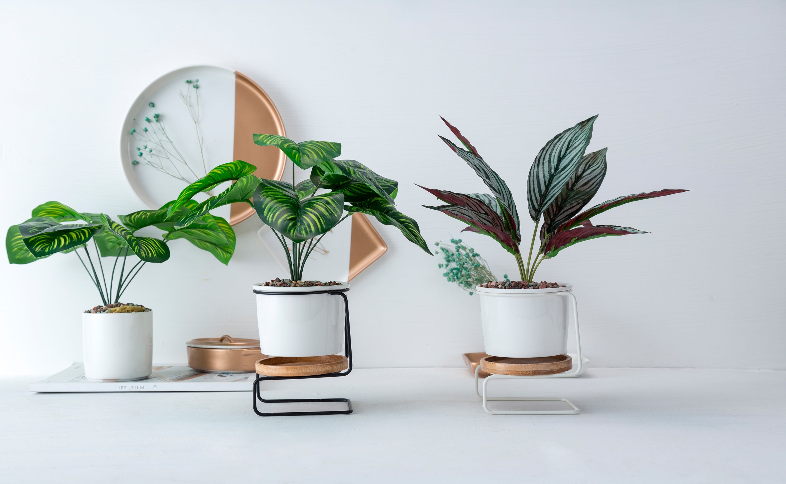 Simple tie Yi landing flower frame living room green plant flower arranger light luxury home indoor metal decorations tie Yi flowerpot flower frame vase tie Yi thumbnail