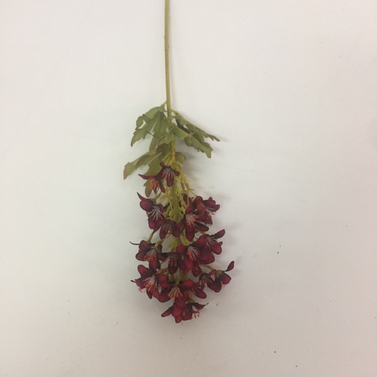 Single Autumn Red Star Flower Simulation False Flower Silk Flower Korean Garden Small Fresh Flower Item Picture