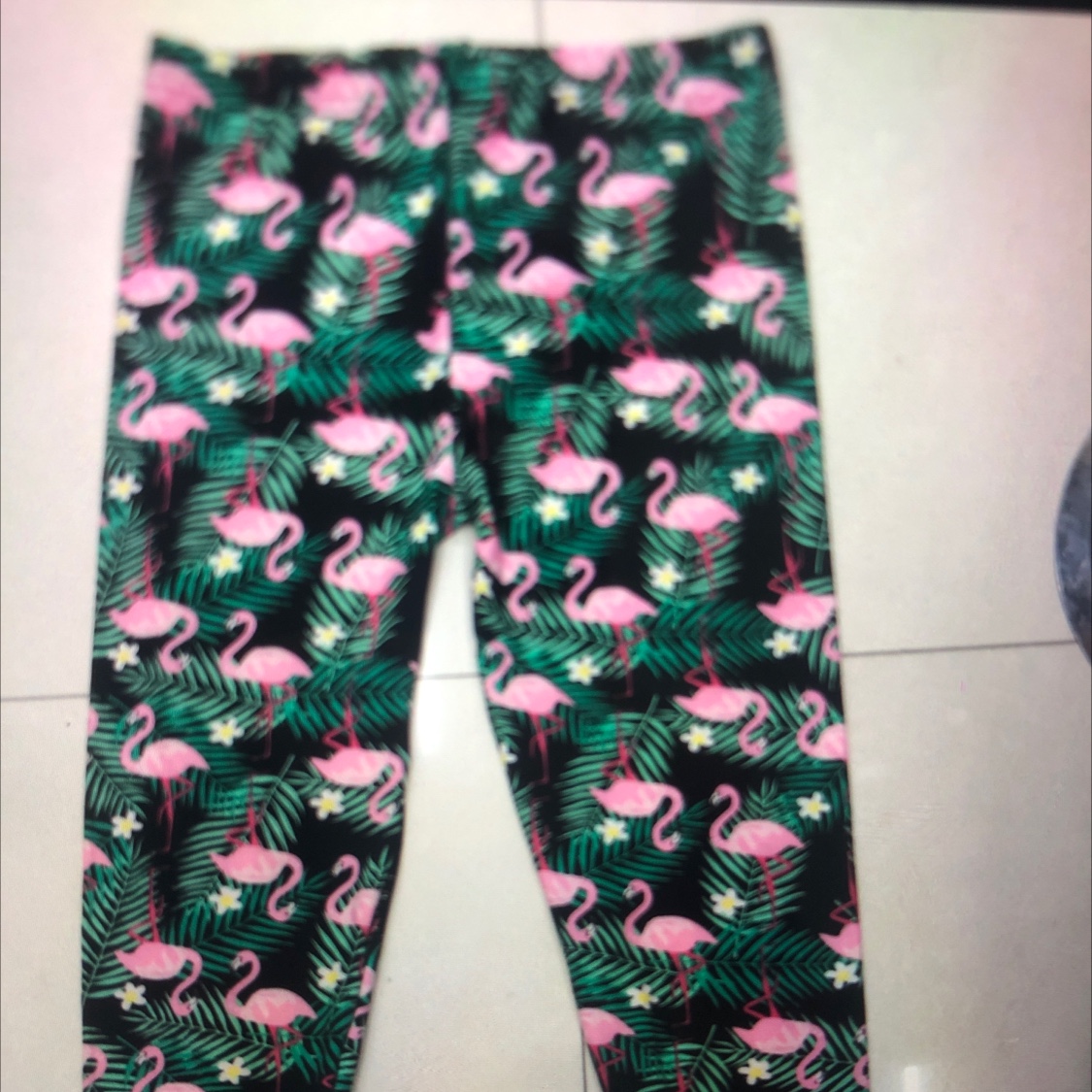 火烈鸟牛奶丝打底裤产品图
