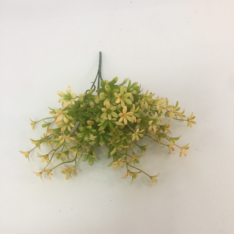 5 Head French Jasmine Flower Simulation Small Flower Fake Flower Placement Flowers undefined