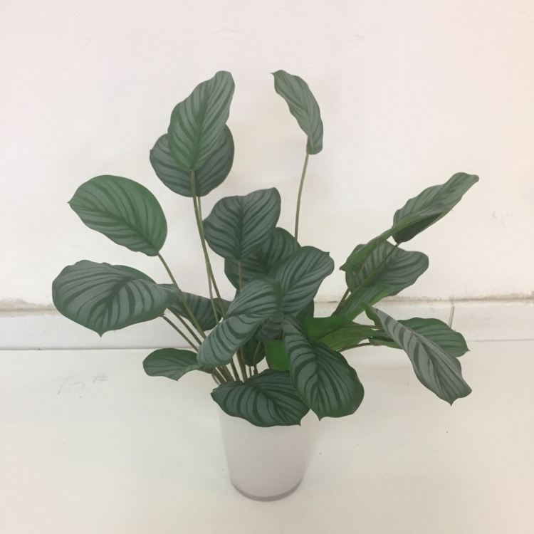 Artificial Green Plants False Flowers False Trees Rural Flowers Grass Home Decoration details Picture