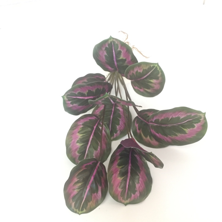 Simulation Green Plant Tropical Plant Simulation Flower New Green Plant Decoration full figure