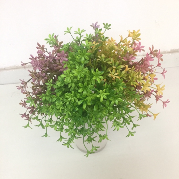 5 Head French Jasmine Flower Simulation Small Flower Fake Flower Placement Flowers full figure