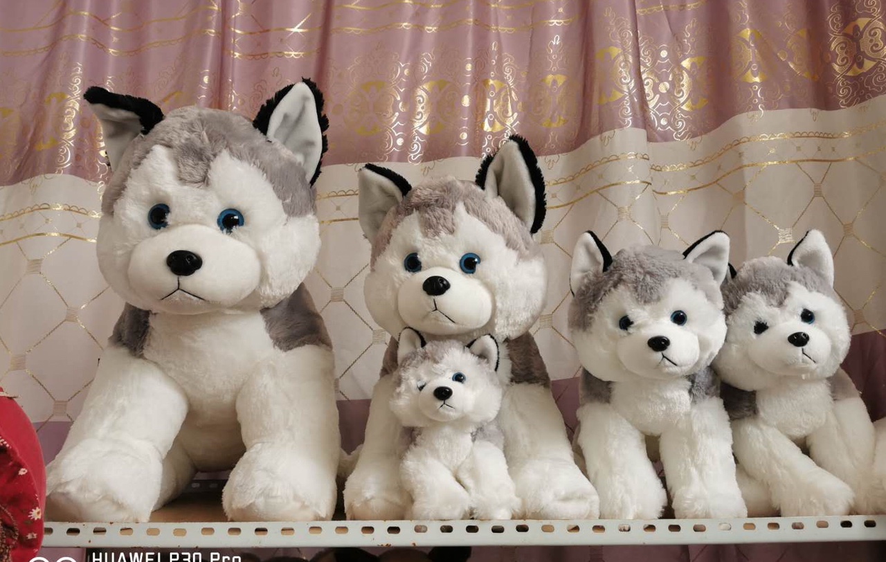 Plush toy Husky 5 sizes foreign trade original order thumbnail