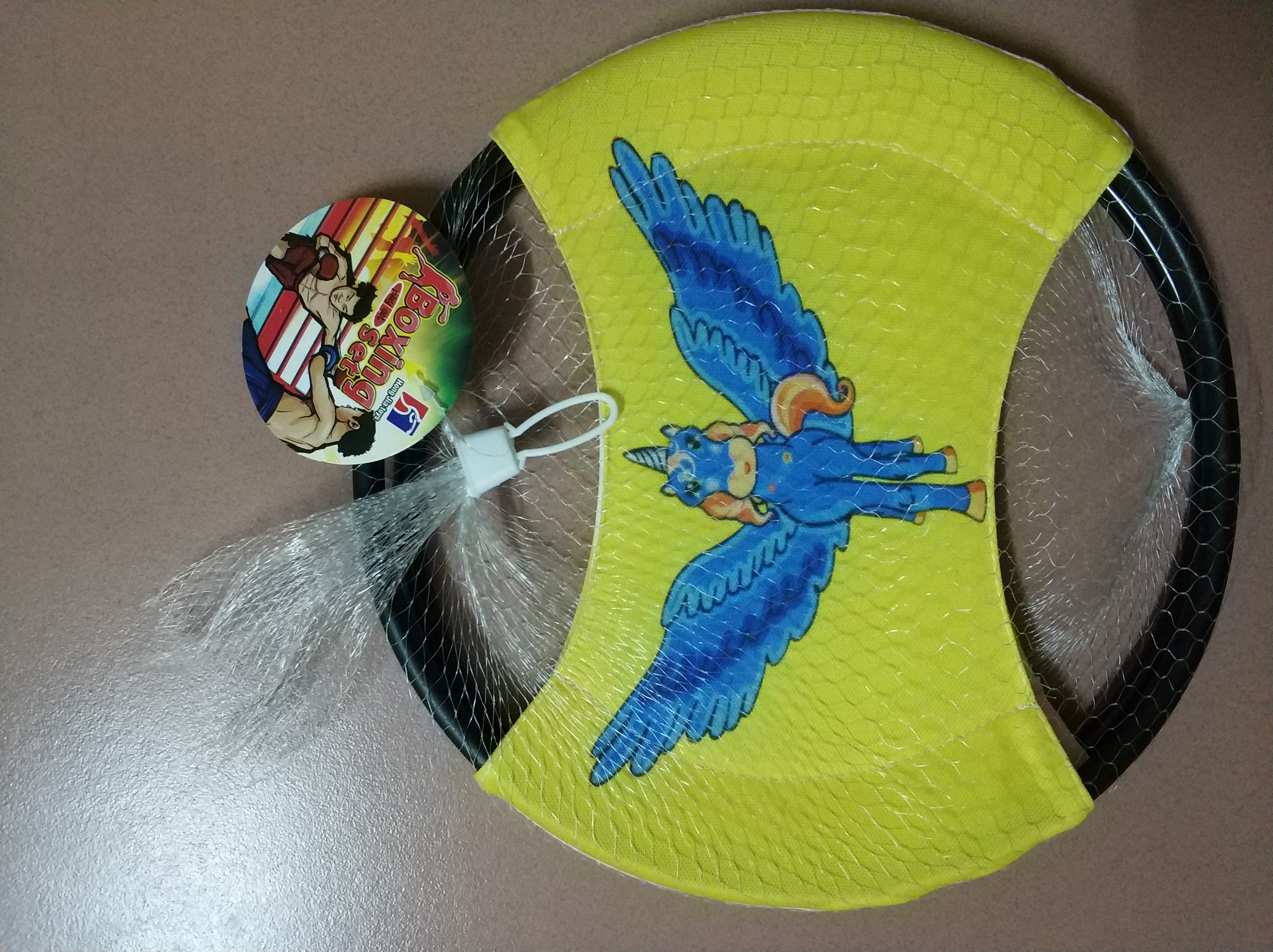 儿童体育飞盘、英文飞盘HJ-461详情图3