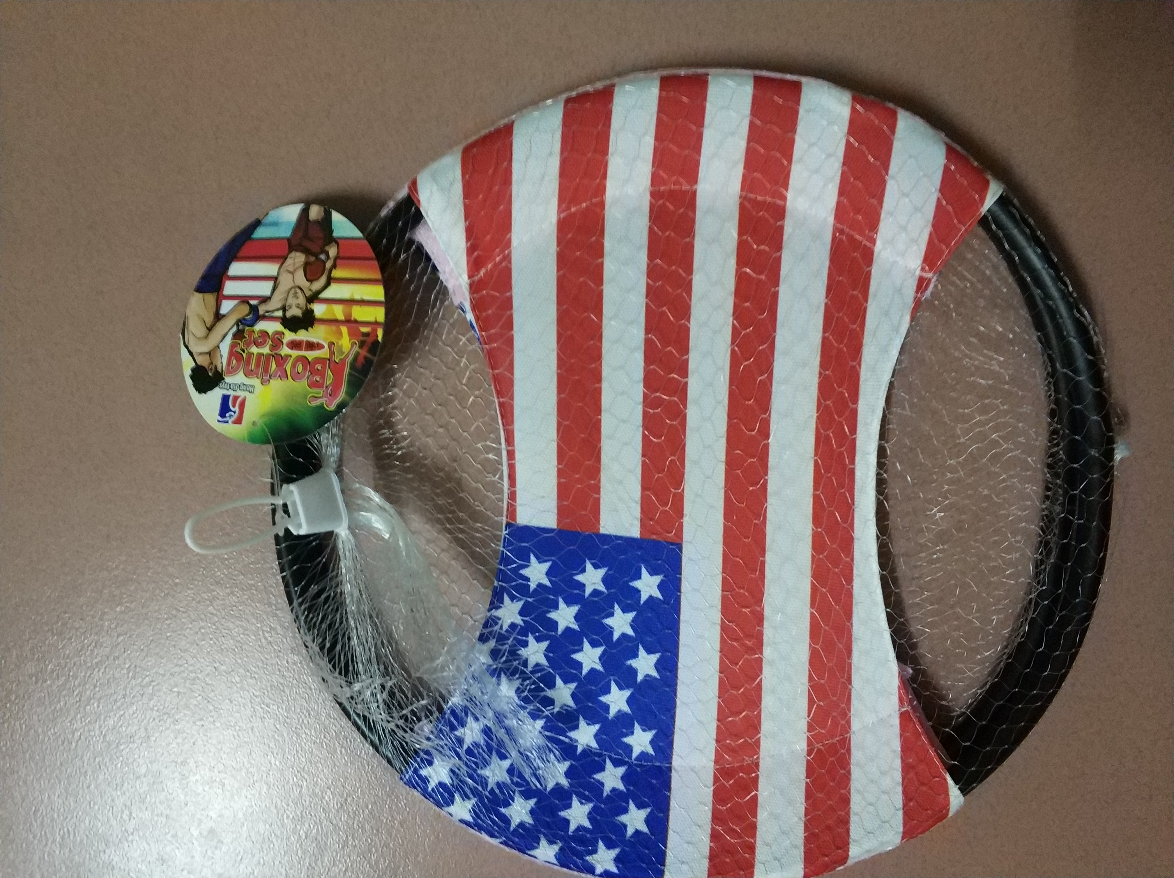 儿童体育飞盘、英文飞盘HJ-461详情图2