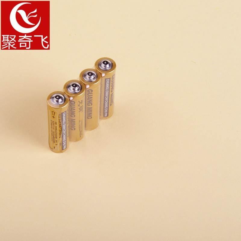 5号光明电池20装