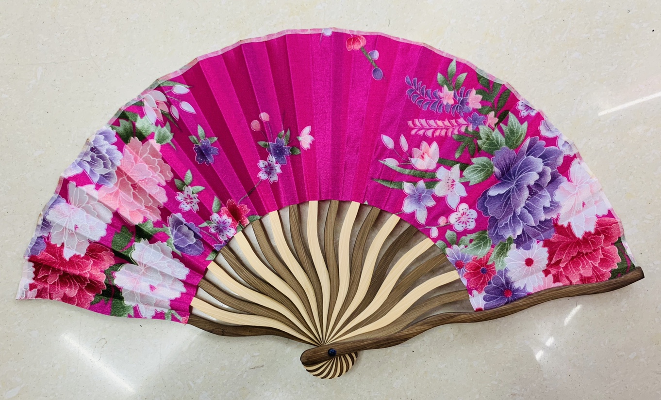 Dragon Fan details Picture