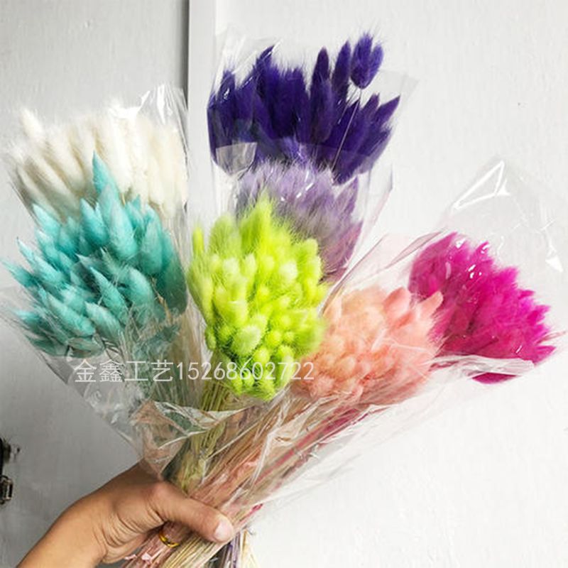Rabbit tail grass dried flower bouquet ins web celebrity eternal flower living room decoration piece flower arrangement material dog tail grass full figure