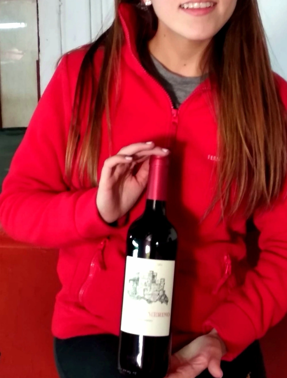 【 Original Bottle Import 】 Original bottle imported Merino Castle Dry Red Wine/Red wine from Spain detail image 6