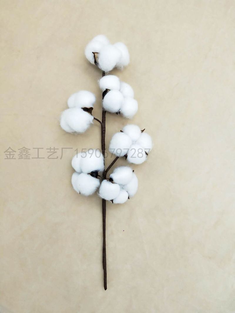 6 cotton single branch of eternal flower dry flower natural cotton simulation cotton Christmas bouquet wedding shooting props thumbnail