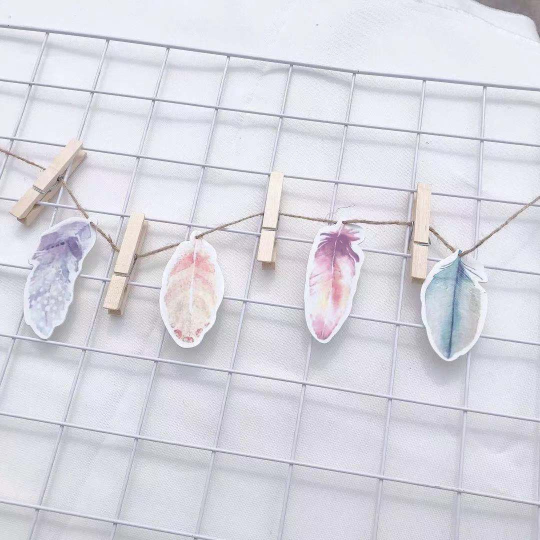 一次性奶茶杯/衣夹/排骨梳高颅顶排骨梳子/晾衣夹/纸箱白底实物图