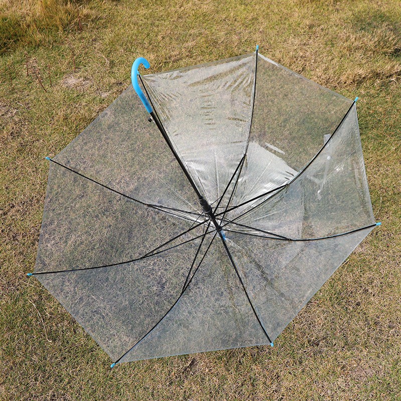 透明伞长柄自动大号折叠双人学生网红晴雨伞两用森系小清新彩色伞详情图10