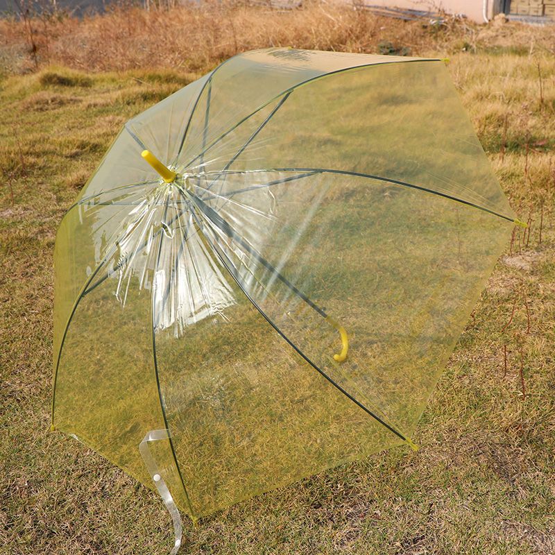 透明伞长柄自动大号折叠双人学生网红晴雨伞两用森系小清新彩色伞细节图