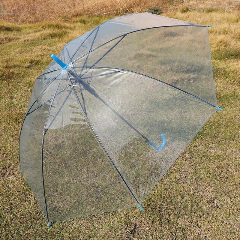 透明伞长柄自动大号折叠双人学生网红晴雨伞两用森系小清新彩色伞详情图4