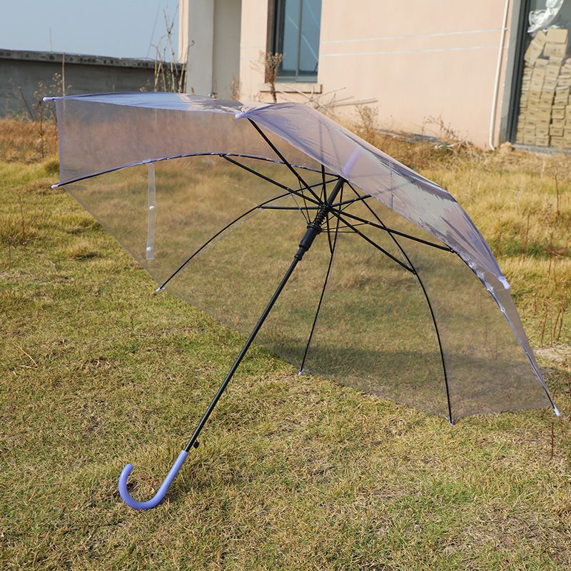 透明伞长柄自动大号折叠双人学生网红晴雨伞两用森系小清新彩色伞白底实物图