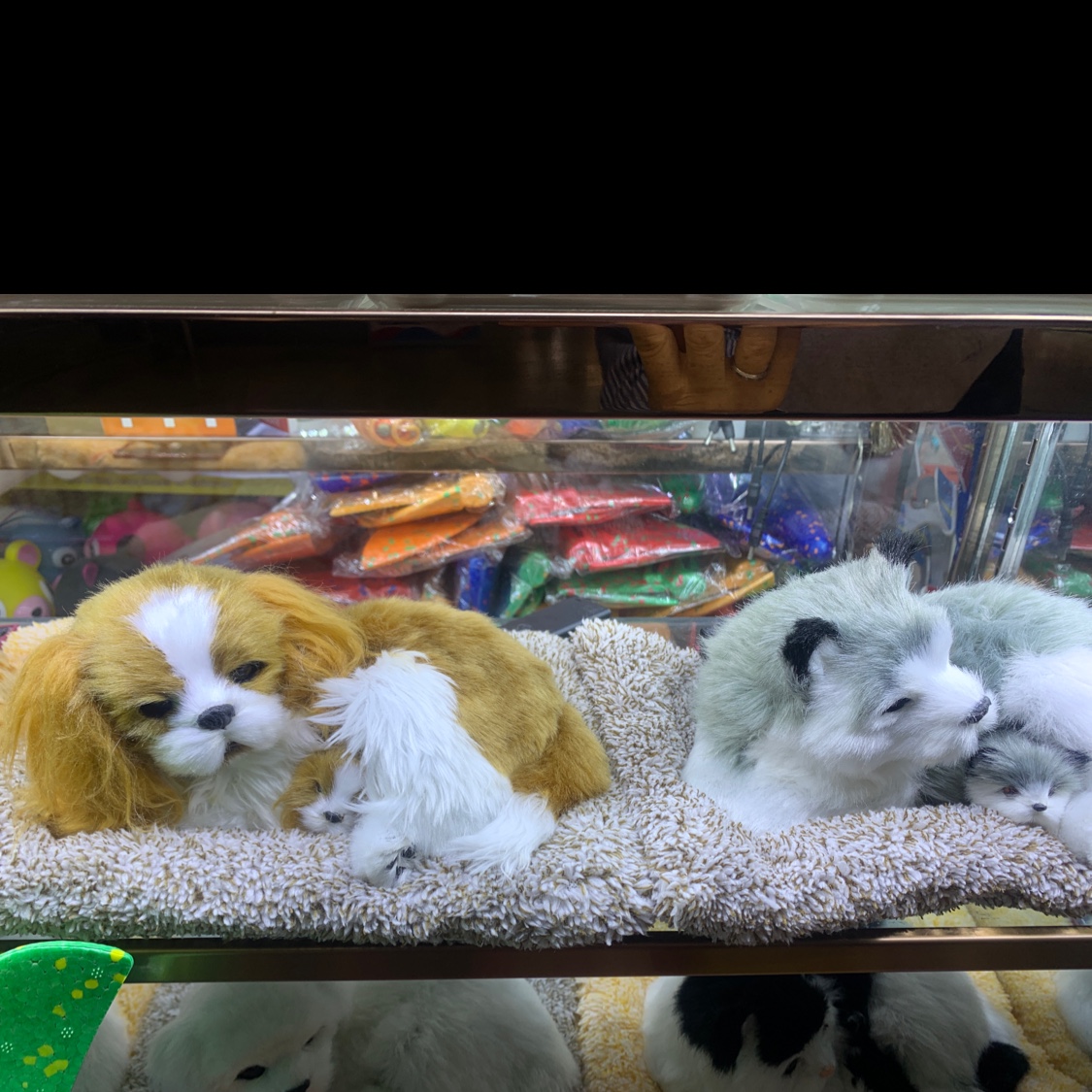 Solar plush toy thumbnail