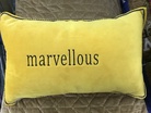 毛绒刺绣黄色抱枕小枕套