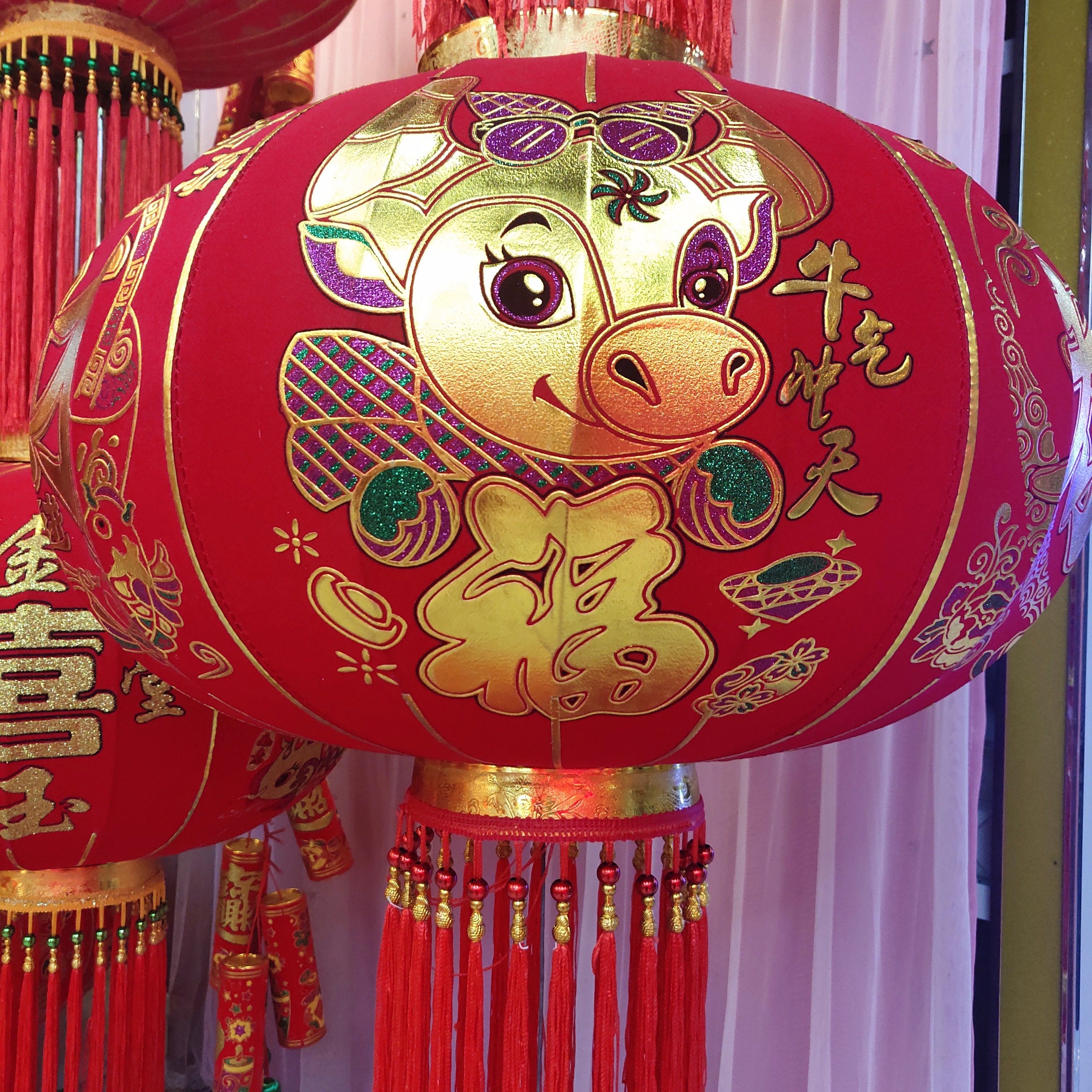 Yiwu quality products Factory Direct sales flocked steel wire, blooming prosperity, festive joy lanterns 10