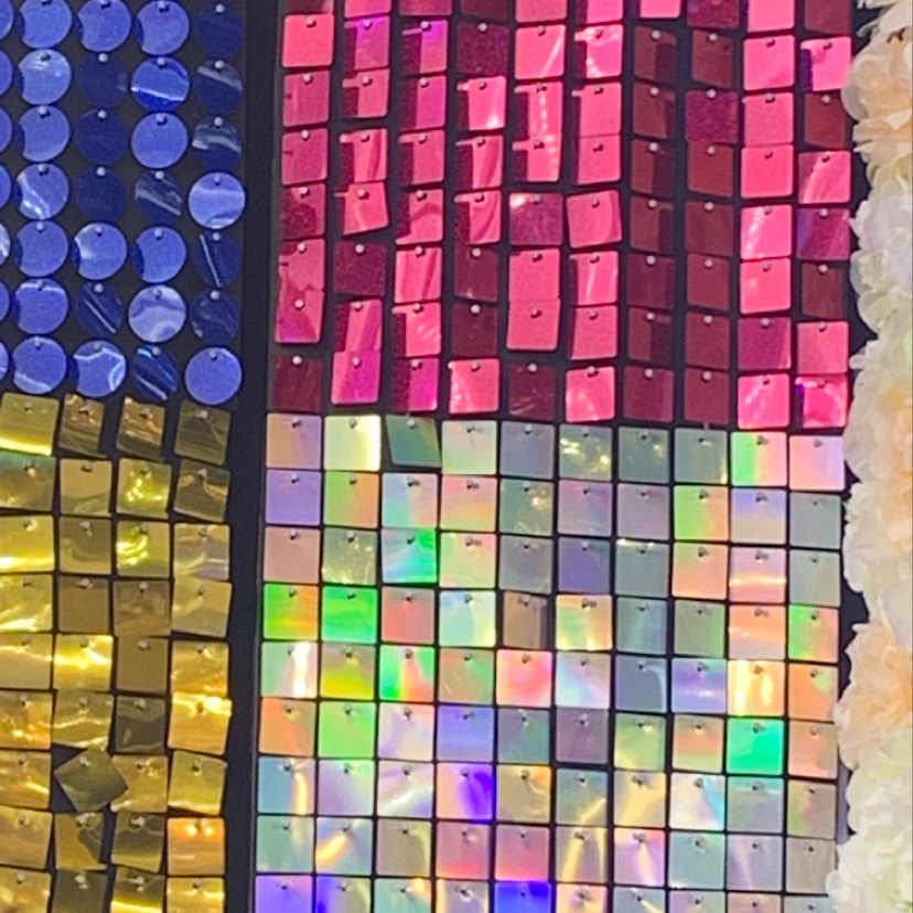 Sequined Wall 2