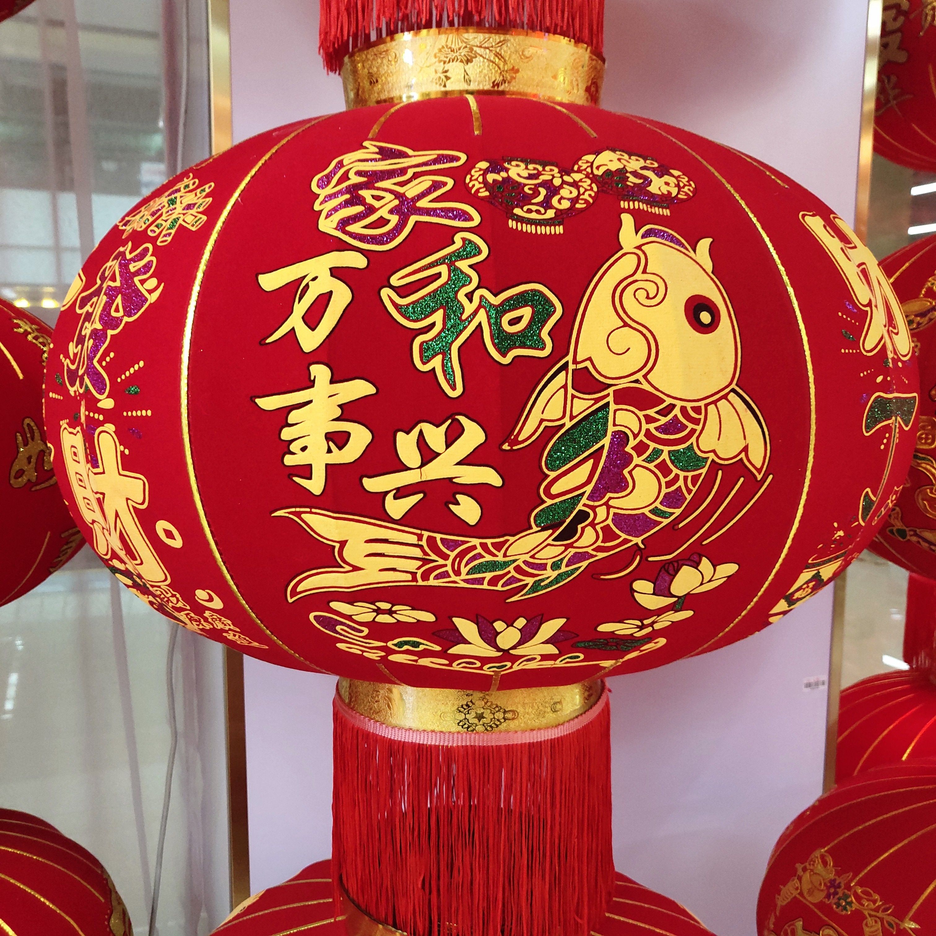 Yiwu quality goods factory direct sales flocked steel wire, blooming prosperity, festive joy lanterns 4