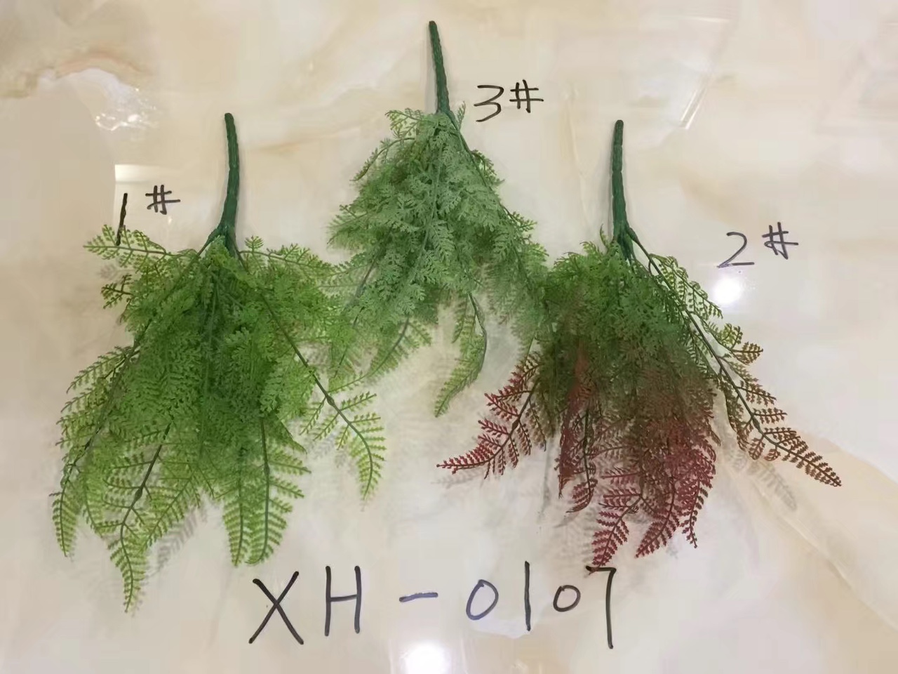 7头波斯草