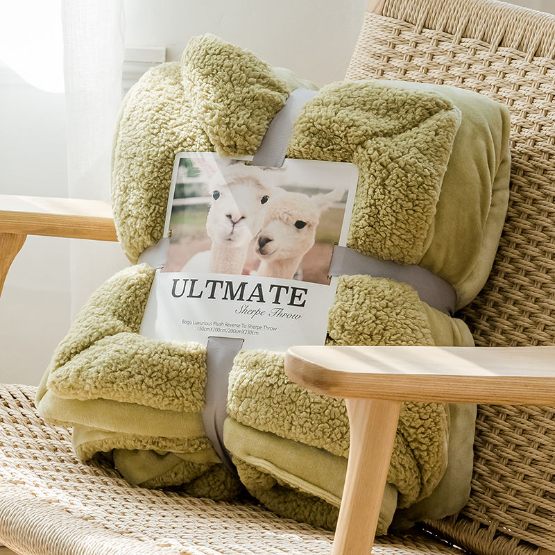 Exported To Europe And The United States Double Flannel Lamb Autumn And Winter Blanket Thickened Single And Double Double Cover Blanket Coral Velvet Blanket Type 5