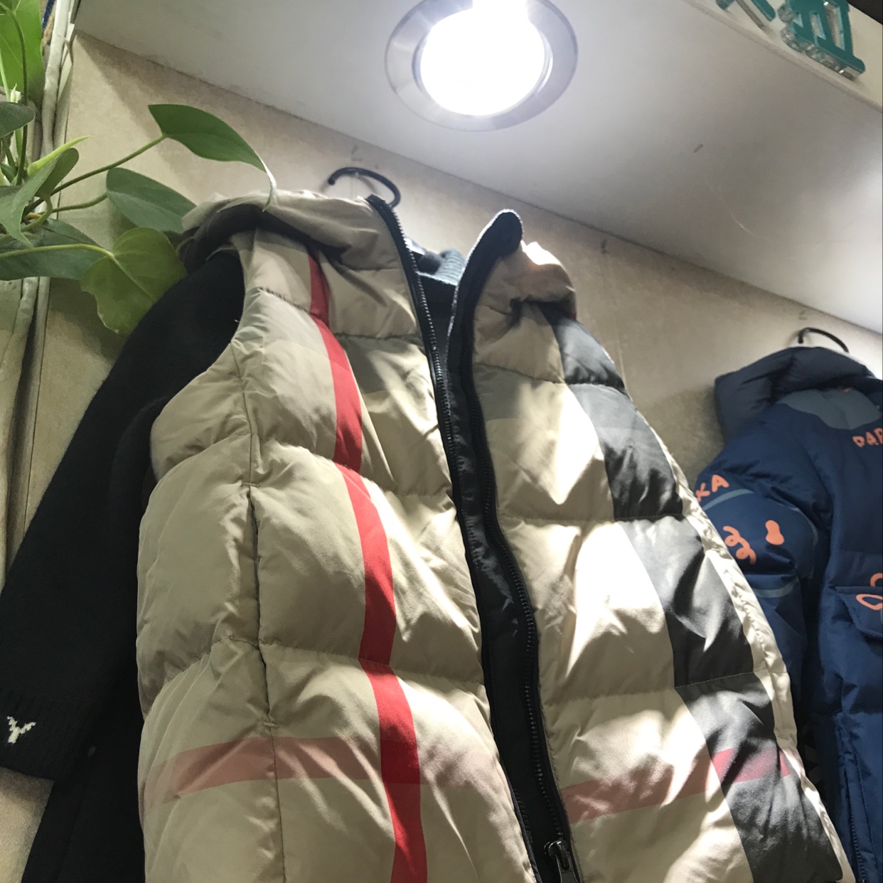 新款品牌童装羽绒服马甲产品图