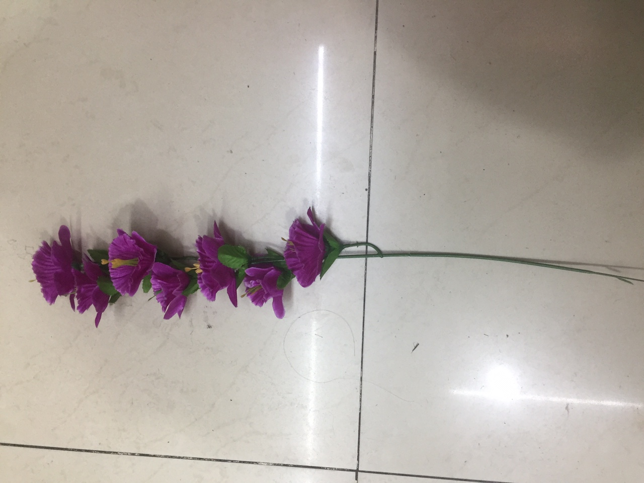 7头小喇叭。价格面议