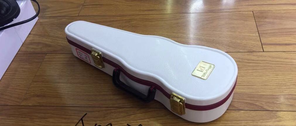 Large violin music box