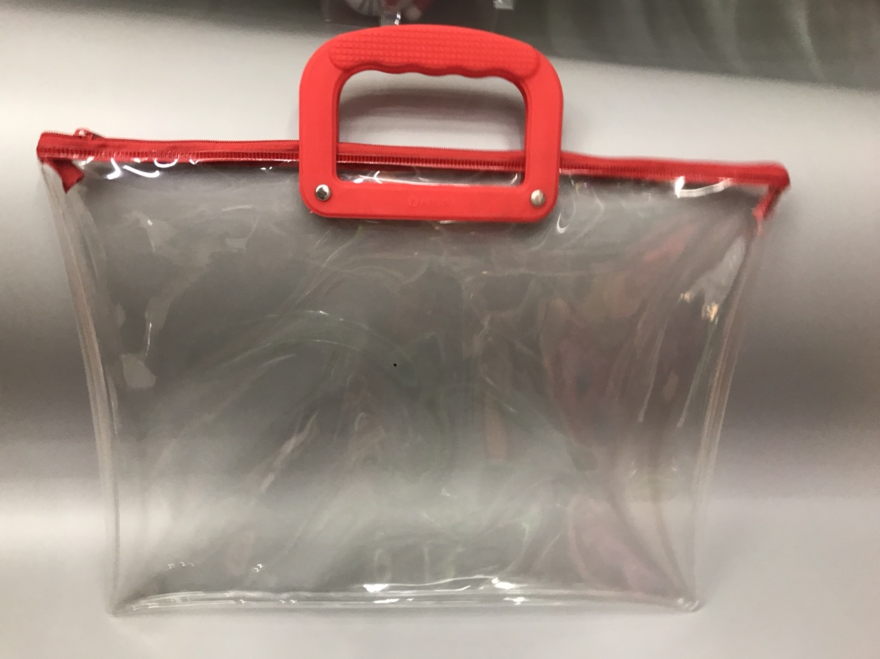 Transparent file bag