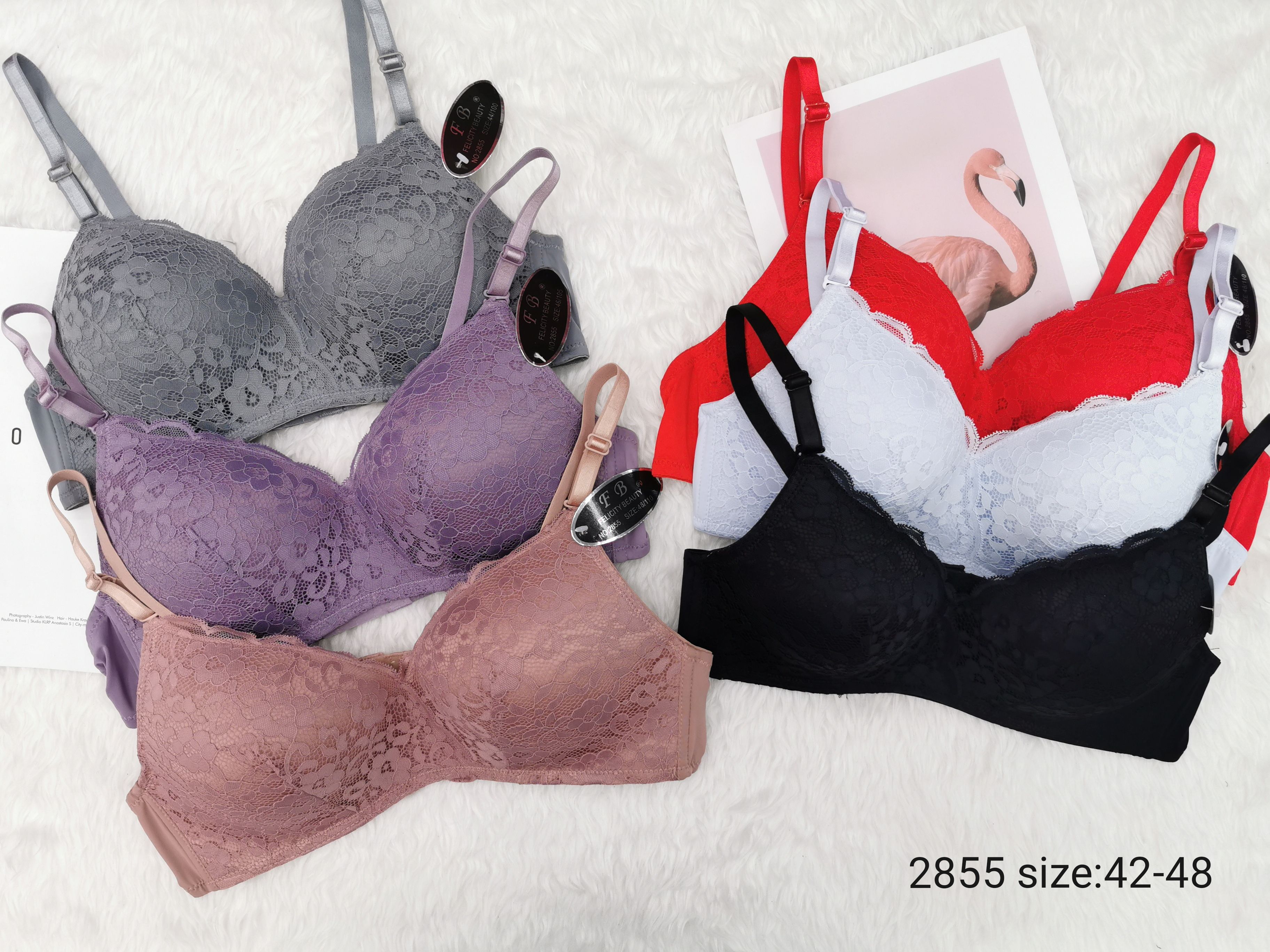 Foreign Trade Bra Single Large Cup Lace Sexy