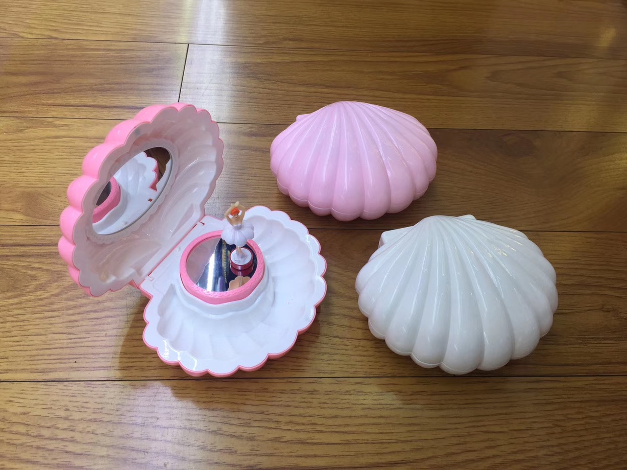 Shell music box