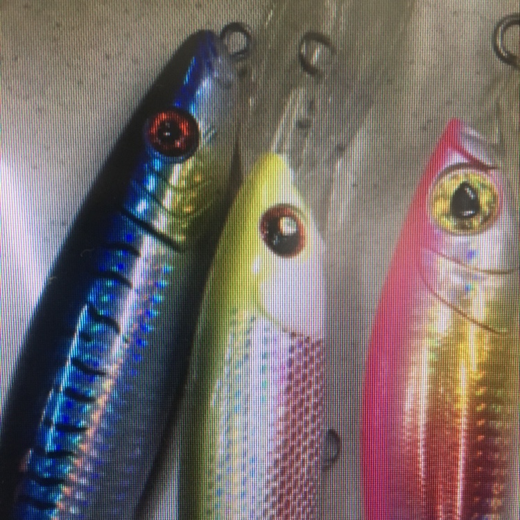 Fishing Bait 1 Sporting Goods Field Goods Outdoor Goods Sporting Goods