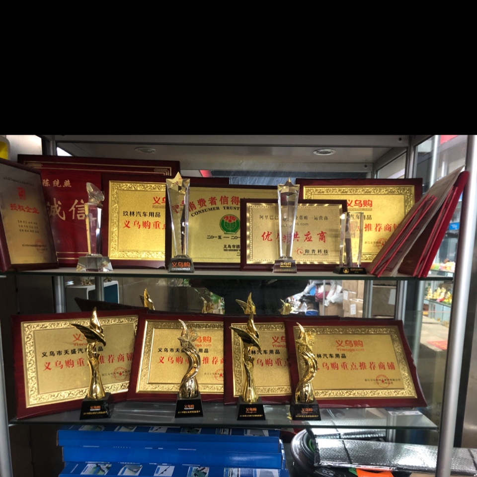 Mengyang Auto Fair qualification pic - 2