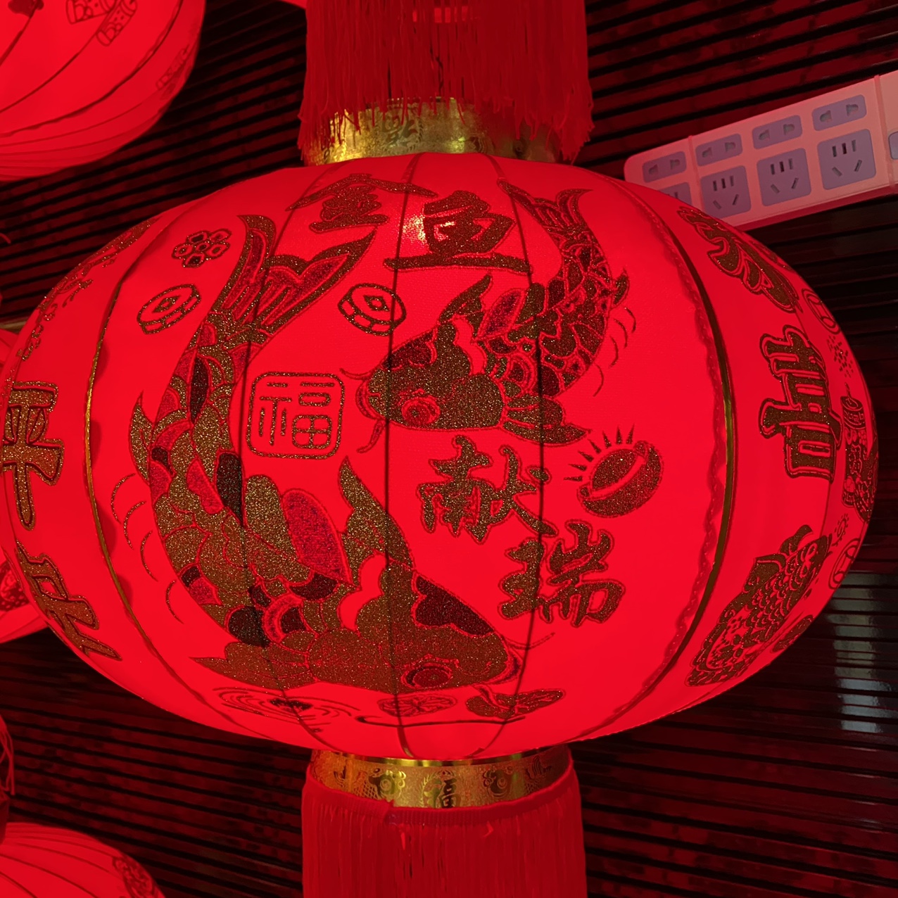 80尺寸金鱼献瑞金粉