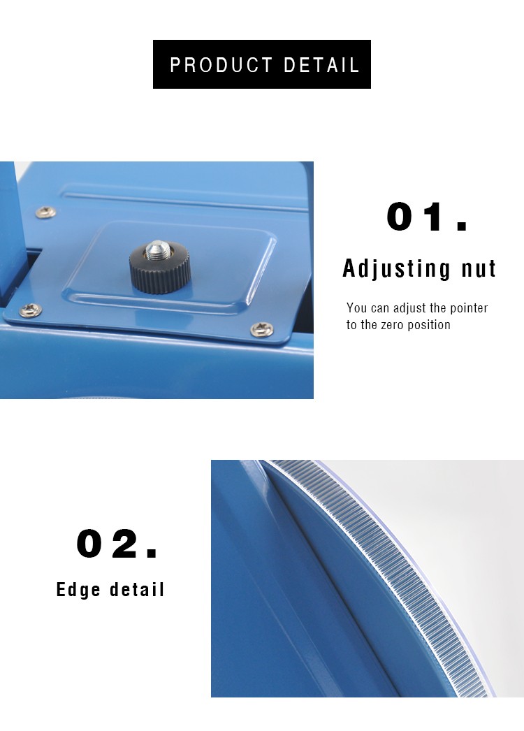 CAMRY Xiangshan SP-100 Degree Pan scale with stainless iron flat scale pan with handle mechanical spring scale platform scale single and double scale 100KG/LBS detail image 4