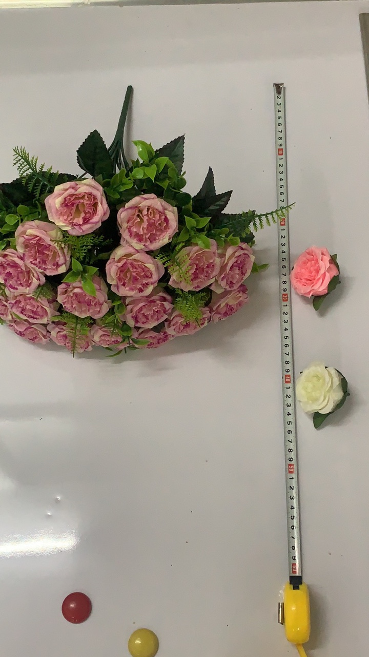 18头五玫苞